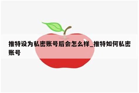 推特设为私密账号后会怎么样推特如何私密账号 注册外服方法 Appid共享网