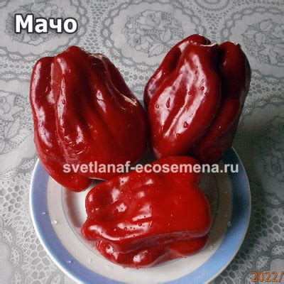 Перец Мачо острый