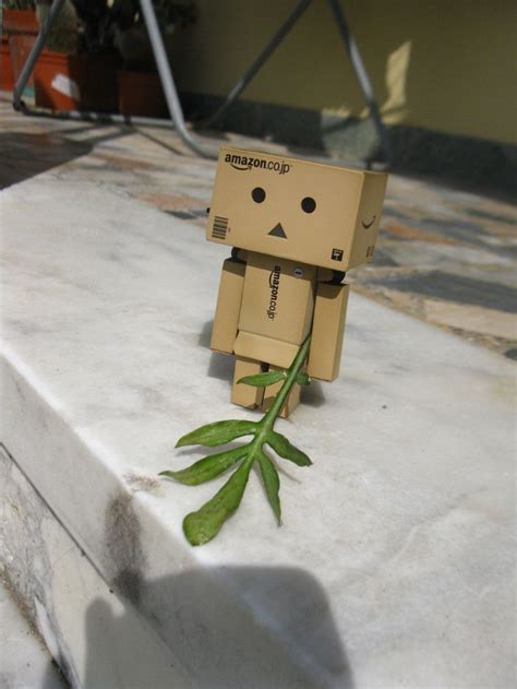 Pin Di Beth D Su Danbo