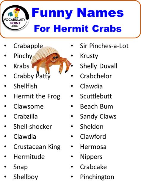 250 Best Hermit Crab Names Cute Funny And Cool Ideas Vocabulary Point