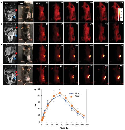 Rational Design Of A Self‐assembling High Performance Organic