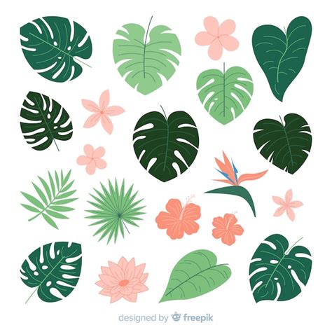 Hojas Y Flores Tropicales En Dise O Plano Vector Gratis