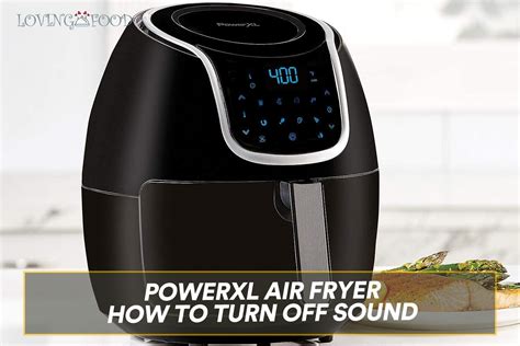 Powerxl Air Fryer How To Turn Off Sound Guide Loving Food