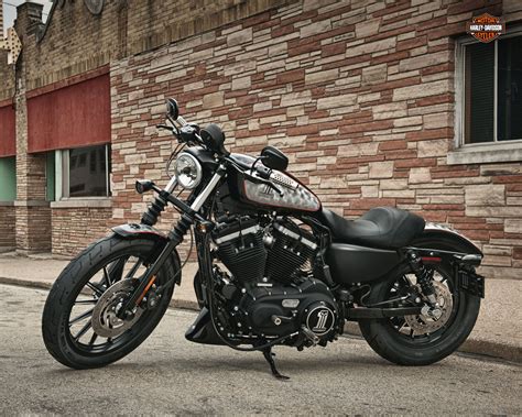 Harley Davidson Iron 883 2011 2012 Specs Performance And Photos