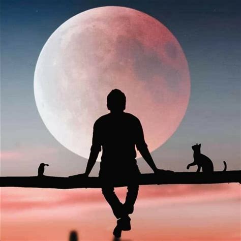 Do Moon Phases Have Any Effect On Human Health Artofit