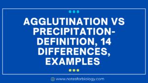 Agglutination Vs Precipitation Definition 14 Differences