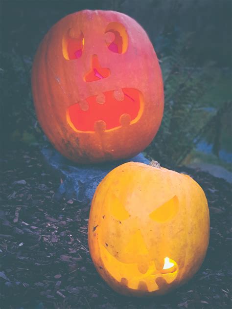 Halloween Pumpkins Free Stock Photo Public Domain Pictures