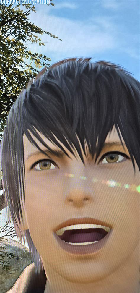 Graphical Update Removing Fangs For Female Keepers Of The Moon Miqo Te