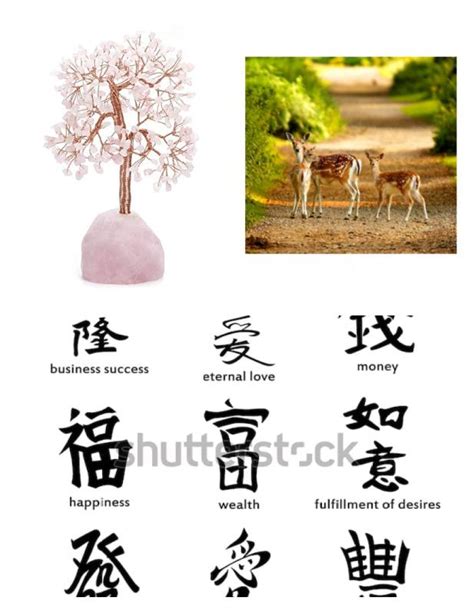 Feng Shui Symbols For Career Success Feng Shui Symbols Feng Shui Symbols