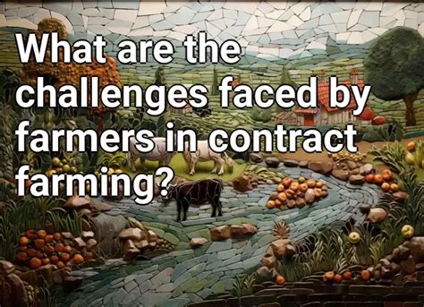 What are the challenges faced by farmers in contract farming ...