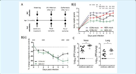 Figure 1 From Influenza A Virus Infection Alters Gut Microbiota