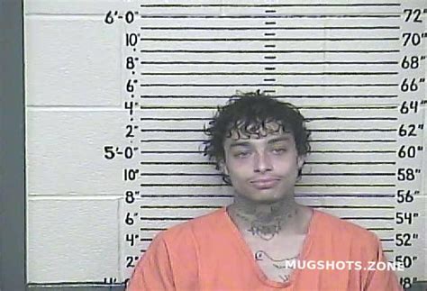 Barido Damon Carter County Mugshots Zone