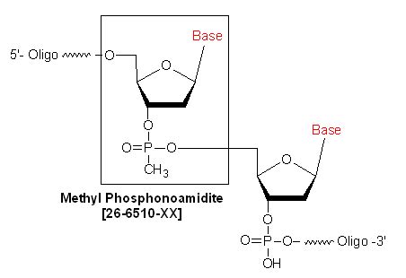 Methyl Phosphonate Oligo Modification From Gene Link