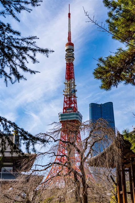 【増上寺】増上寺から東京タワーを撮る【2023年】丨散歩写真日記vol 100 50代フードデリバリー配達員のひとりごと