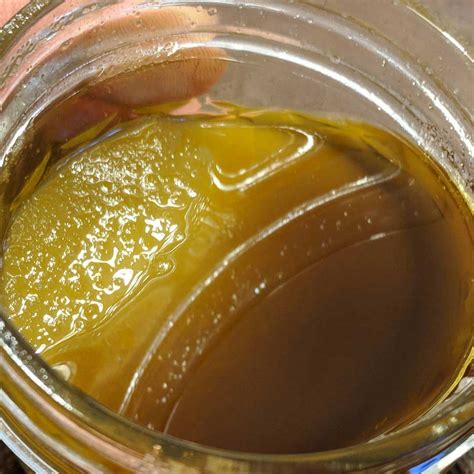 african orange equilibrium genetics