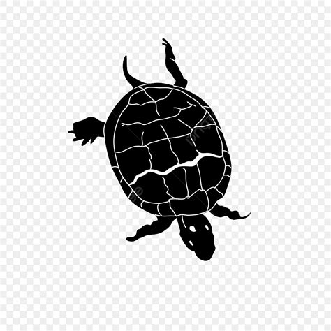 Tortuga Silueta Remando Hacia Abajo PNG , Tortuga, Silueta, Concha PNG ...