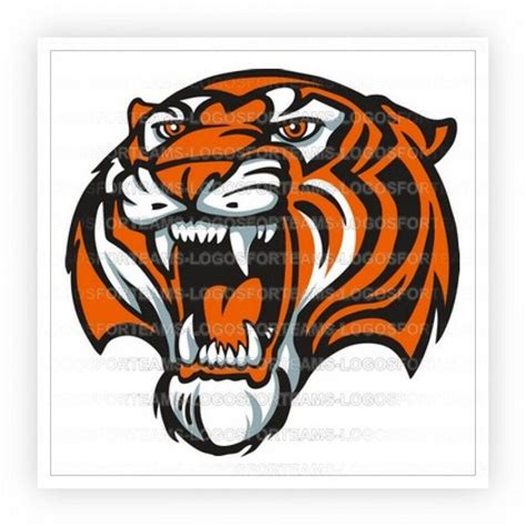 Cool Tiger Logo Logodix