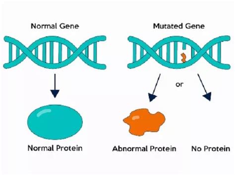 Gen là gì Đột biến gen là gì Cấu trúc của gen DNA RNA Blog Luật