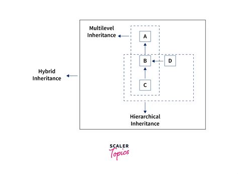 Hybrid Inheritance In Java Scaler Topics