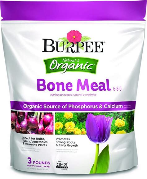 Bone Meal Fertilizer for Plants: The Ultimate Guide - Plants Spark Joy