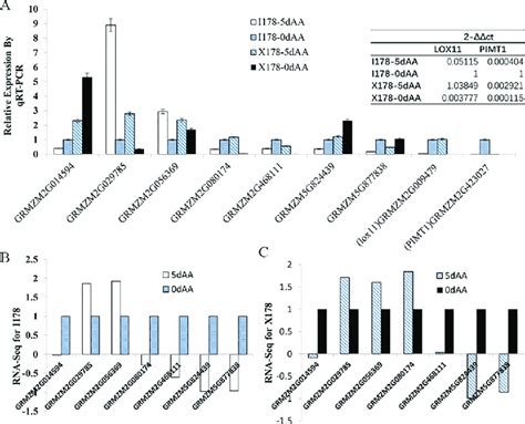 Qrt Pcr Validation Of The Rna Seq Result A Nine Genes Including