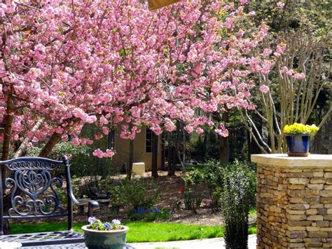 The Best Spring Garden Decor Ideas