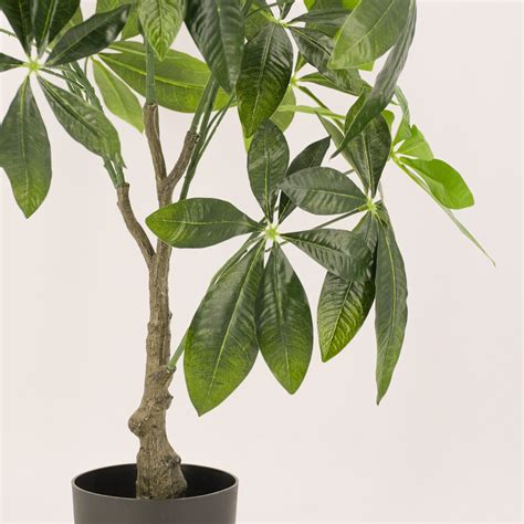 Artificial Fortune Money Tree Plant 75cm Home And Garden Decor