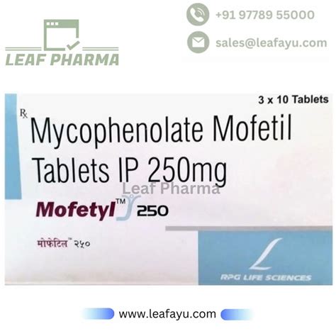 Mycophenolate Mofetil Tablets Ip 250mg Mofetyl 250 At Rs 375stripe