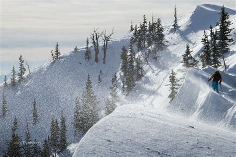 Skiing at Bridger Bowl Community Ski Area, Bozeman Montana - SnowBrains