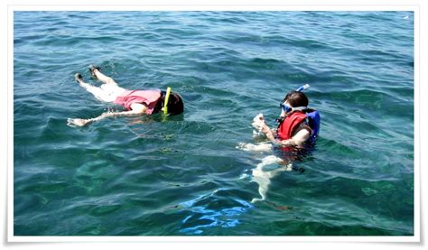 Bali Snorkeling Tours Bali Spartan Tour