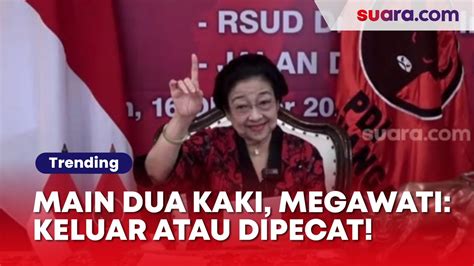 Megawati Ultimatum Kader Pdip Yang Main Politik Dua Kaki Keluar Atau