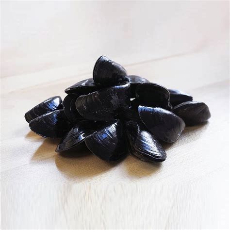 2 LB Mussels - Contactless Boston Fish Delivery - Fresh, local fish ...