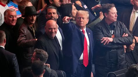 Trump makes surprise appearance at UFC championship fight with cabinet ...