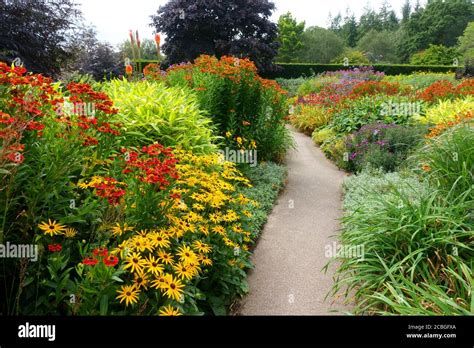 Rosemoor Rhs Gardens Hot Gardeb Devon England Uk Stock Photo Alamy