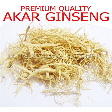 Jual Akar Ginseng Super Penambah Stamina Herbal Shopee Indonesia