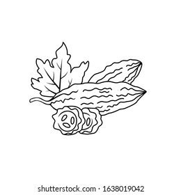 Bitter Gourd Clipart Black And White School