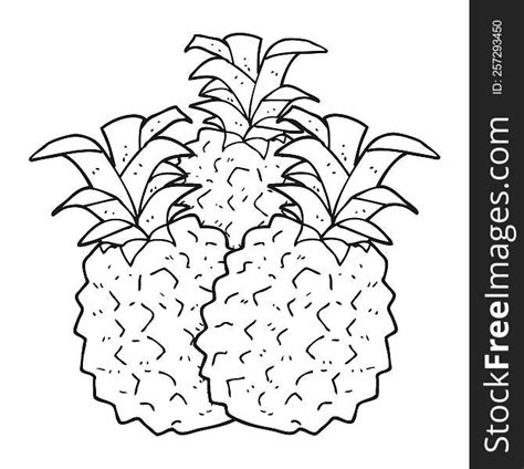 Black Clipart Pineapple Free Stock Photos Stockfreeimages