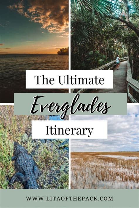 Exploring The Wonders Of Everglades National Park