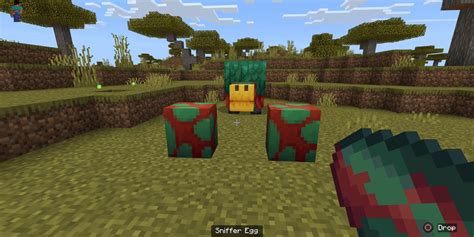 Minecraft How To Get And Hatch Sniffer Eggs