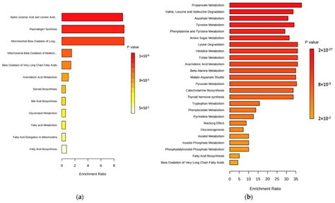 Ijms Free Full Text Comprehensive Insight Into Colorectal Cancer