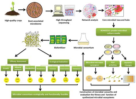 Frontiers Paving The Way From The Lab To The Field Using Synthetic