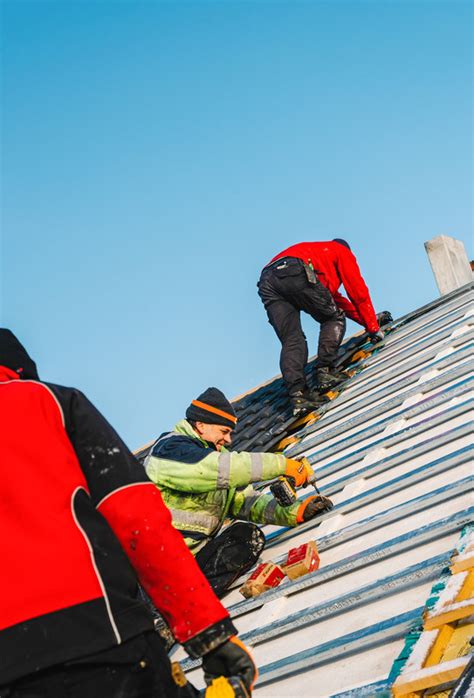 Dachdecker Sieben Leben Brand Eins Online