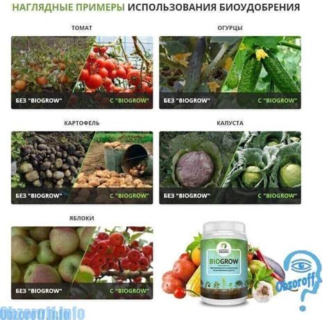 Biogrow: Биоудобрение для ускорения роста растений