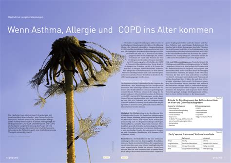 Pdf Obstruktive Lungenerkrankungen Wenn Asthma Allergie Und Copd