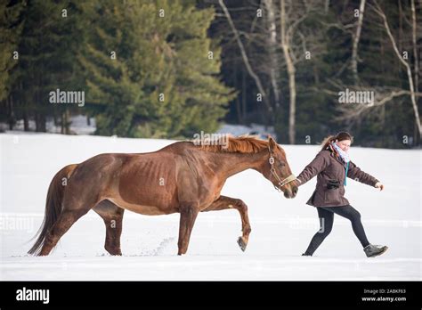 Hungarian Horse Riding Hi Res Stock Photography And Images Alamy