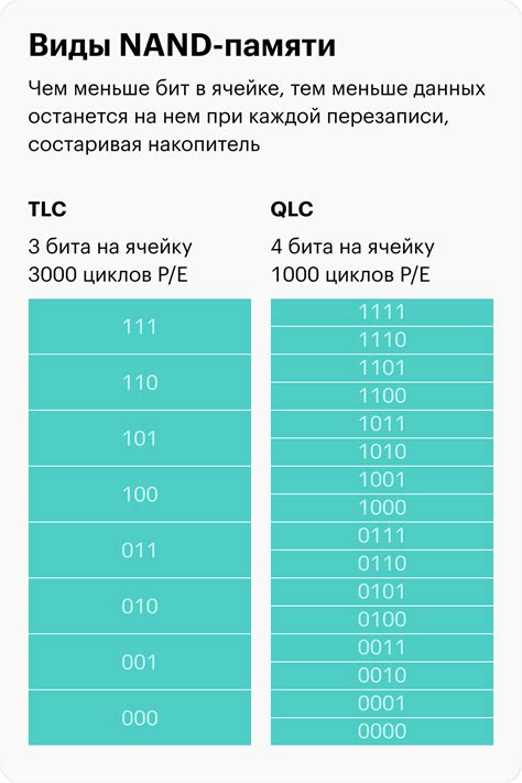 SSD в 2025 году: как выбрать для компьютера и ноутбука и какие бывают