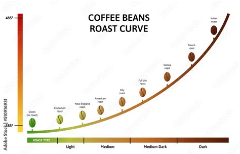 Coffee roasting levels. Roast curve, optimal temperature for roasting ...