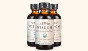 Wisdom Bible-Based Supplement Reviews (Updated)