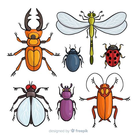 Pack Insectos Coloridos Dibujados A Mano Vector Premium