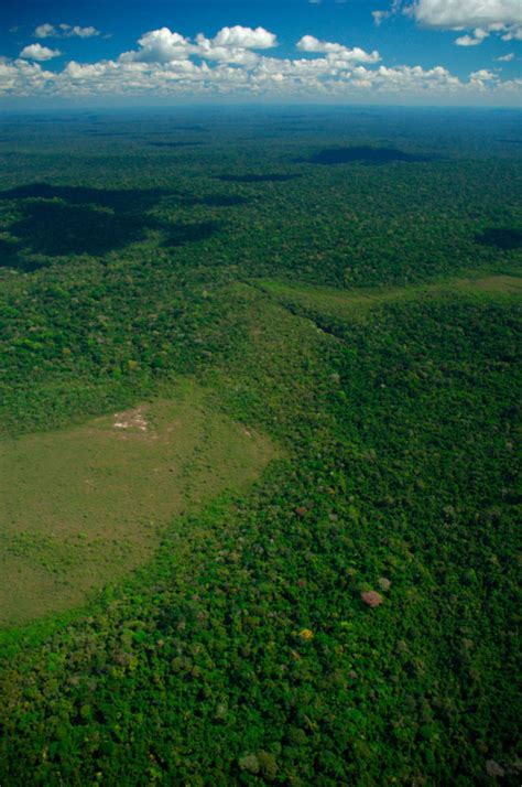 brazils threatened cerrado   protection plan wwf